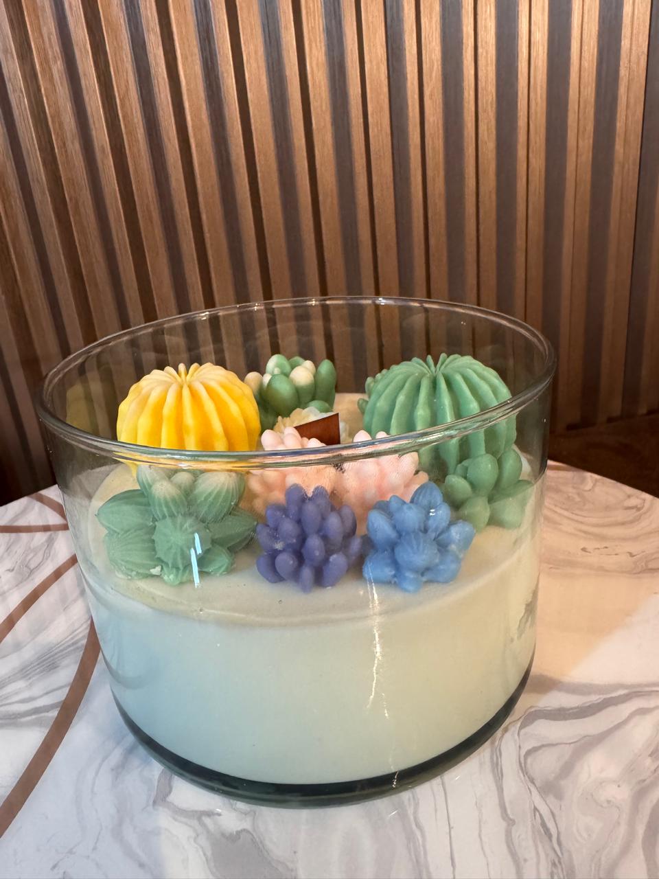 Jardín suculento en vaso