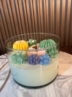 Jardín suculento en vaso